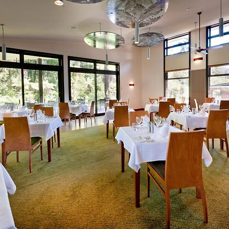 Legacy Te Waonui Hotel Franz Josef Luaran gambar